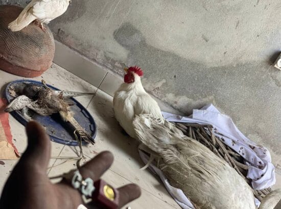 Rituel de retour affectif rapide – comment faire revenir son ex sans forcer les sentiments