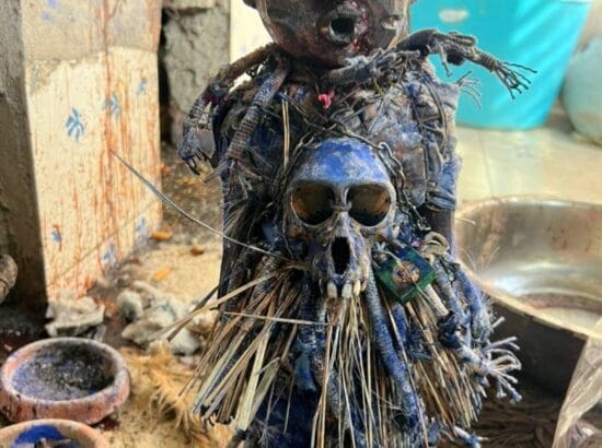 Réussir Un Retour Affectif En Moins De 48h, Le plus grand