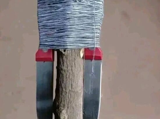 éloigner une rivale de l’être aimé, récupérer son amour par le plus grand marabout